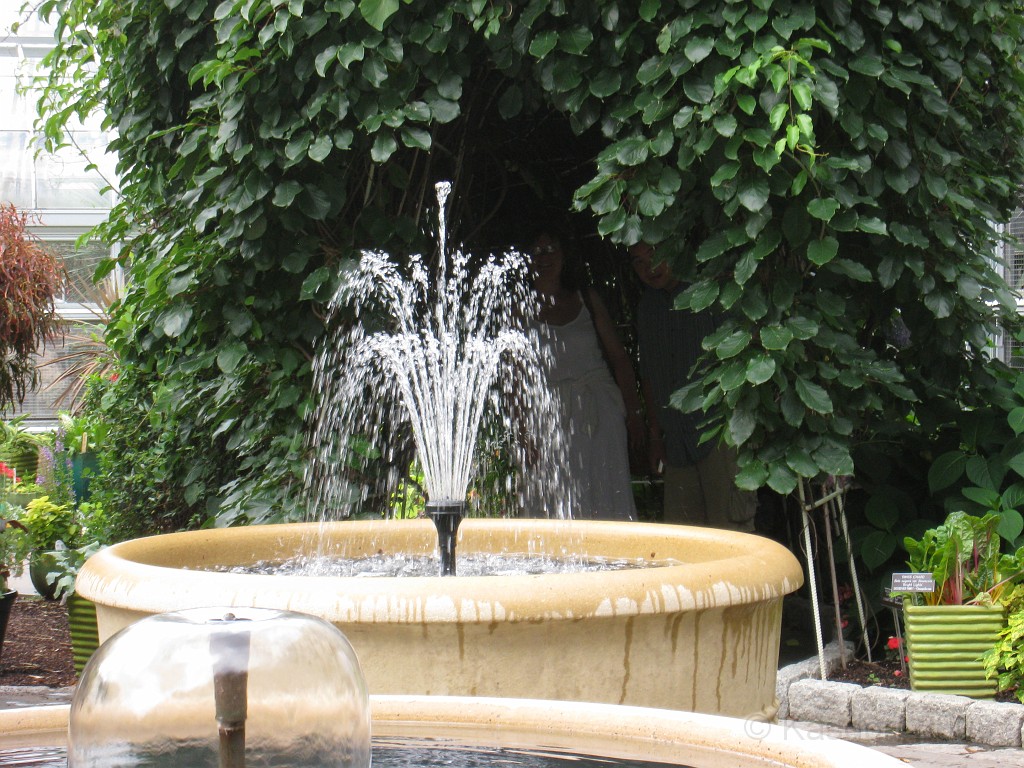 Wash DC 2009 4525.jpg - A 4th of July trip to Washington DC in 2009 to see the museums, memorials and fireworks.